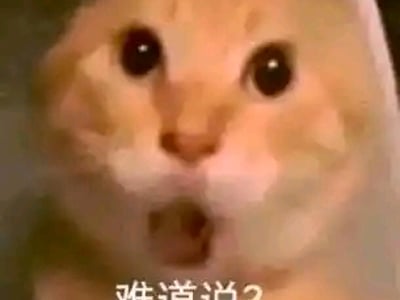 照顾巨根正太的丝袜熟母