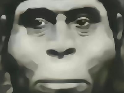 和元谋人一起冒险吧