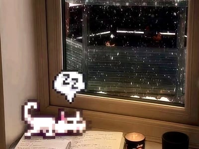 温馨猫咖咖啡馆