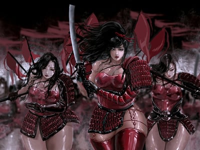 睥睨战国：武田氏立志传