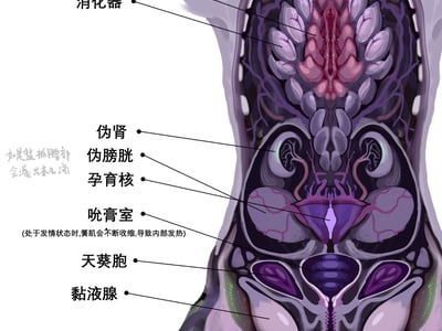 异常淫物管理局