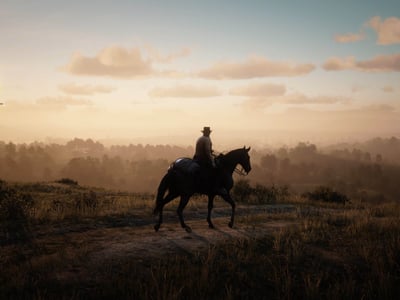 西部大世界♞荒野大镖客