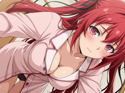 新妹魔王的契约者