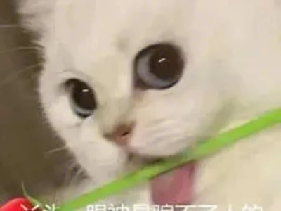 你的租客都是鬼【攻略向可涩涩】